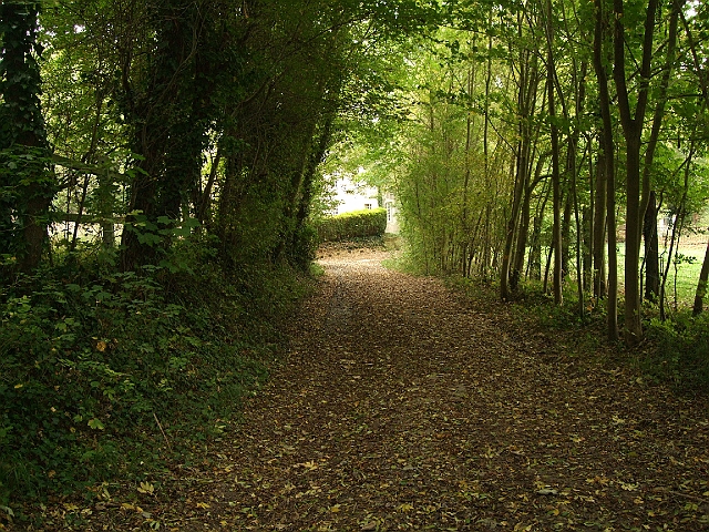 futur trail 037.jpg